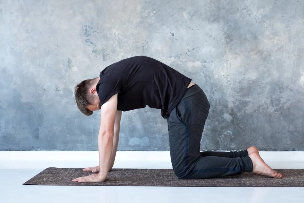 Cat-Cow Exercise: Powerful Movement for Spinal&nbsp;Health